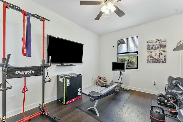 exercise room with dark hardwood / wood-style floors and ceiling fan