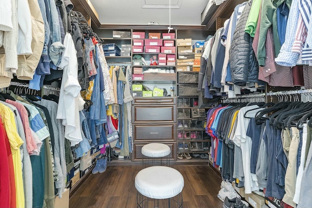 spacious closet featuring dark hardwood / wood-style floors