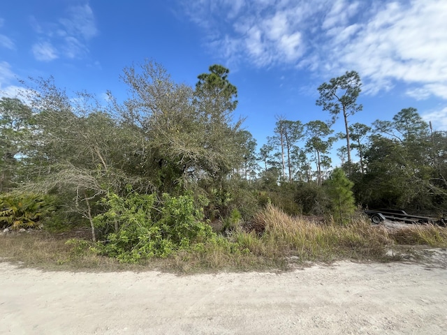 Listing photo 3 for 7602 18th Pl, Labelle FL 33935