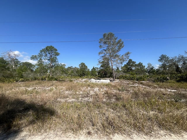 203 Raven Ave, Sebring FL, 33870 land for sale