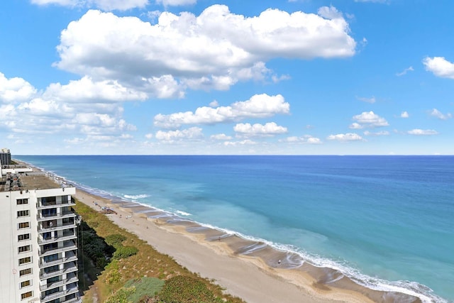 water view featuring a beach view