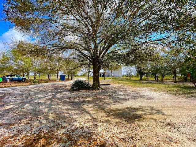 16738 NW 262nd St, Okeechobee, FL 34972 - view of yard