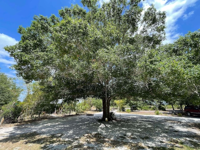 16738 NW 262nd St, Okeechobee, FL 34972 - view of yard