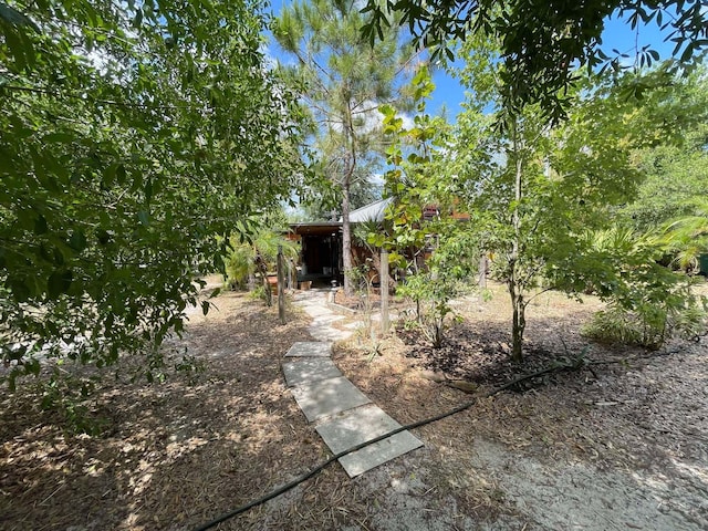 16738 NW 262nd St, Okeechobee, FL 34972 - view of yard