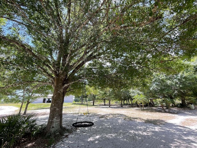 16738 NW 262nd St, Okeechobee, FL 34972 - view of yard