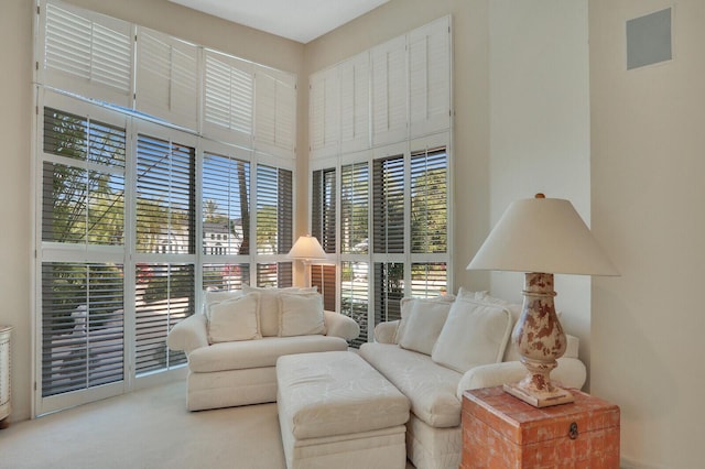 sitting room featuring carpet flooring