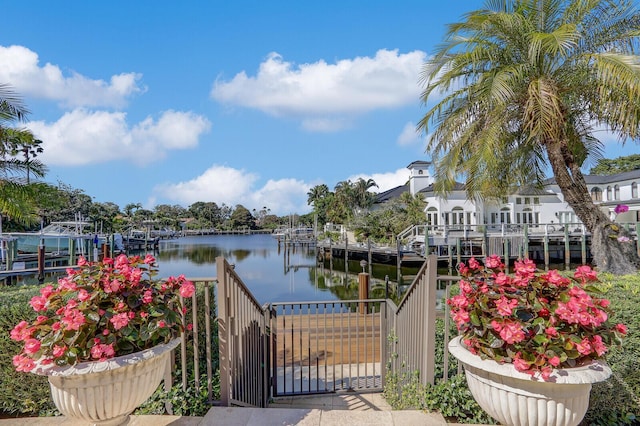 dock area featuring a water view