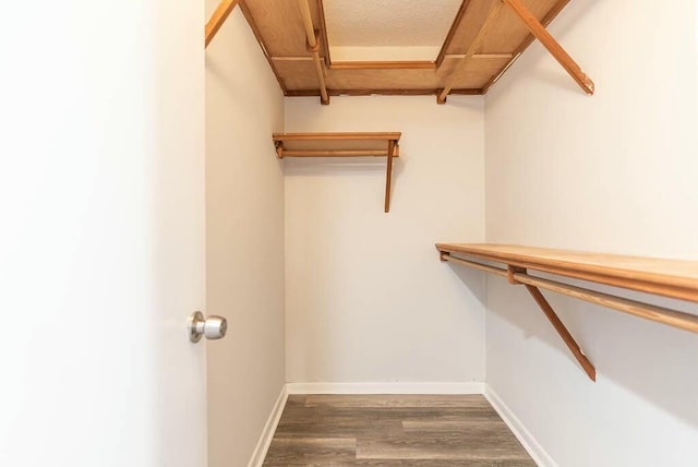 walk in closet with dark hardwood / wood-style flooring