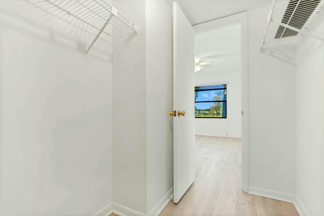 walk in closet featuring light hardwood / wood-style floors