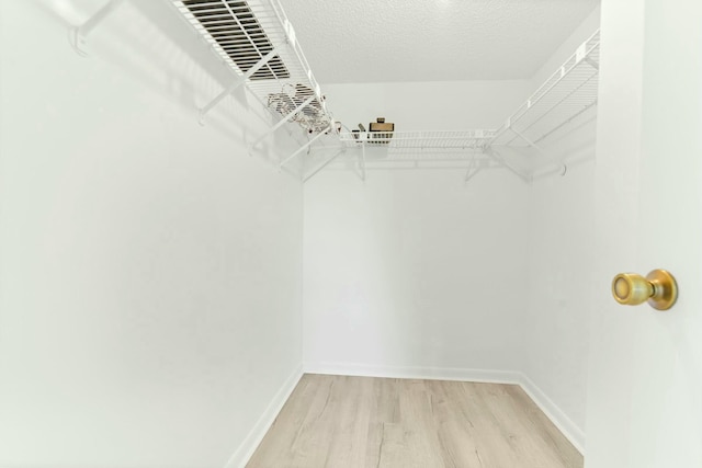 spacious closet featuring light wood-type flooring