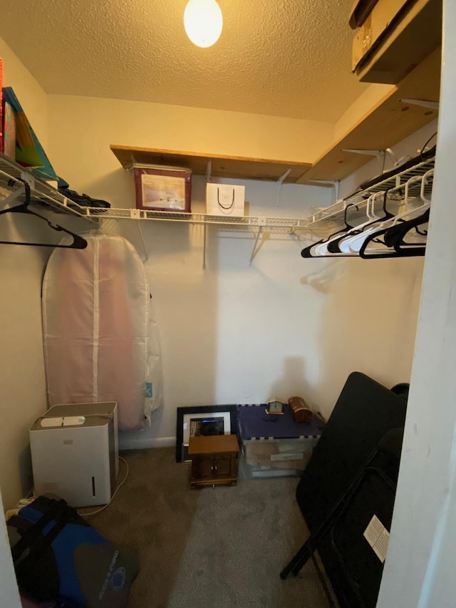 walk in closet featuring dark colored carpet