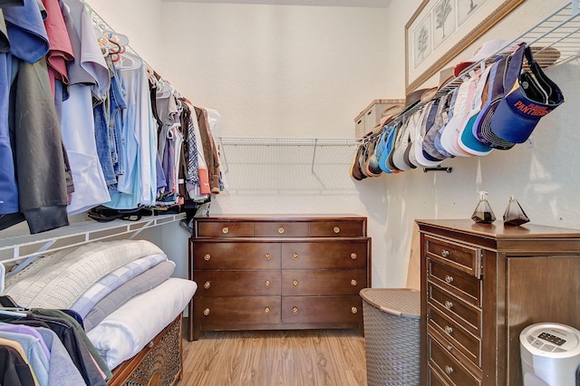 spacious closet with light hardwood / wood-style flooring