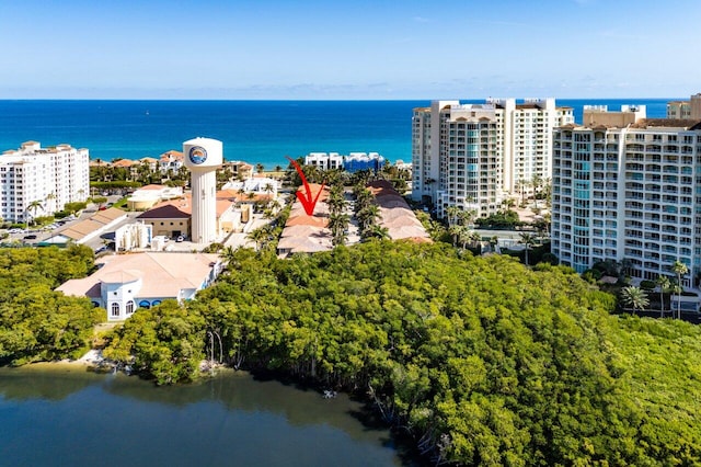 bird's eye view with a water view