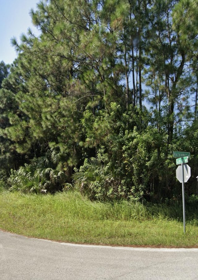 XXXXX Hathaway Rd SW, Palm Bay FL, 32908 land for sale