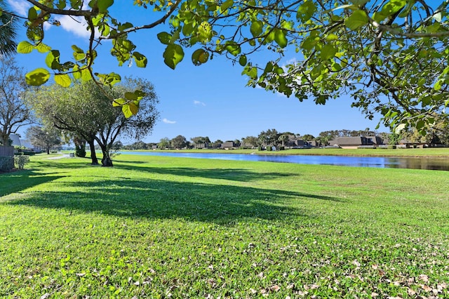 view of yard with a water view