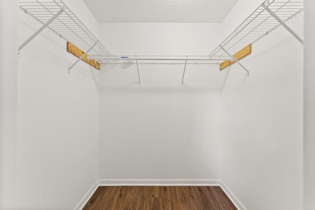 walk in closet featuring hardwood / wood-style flooring