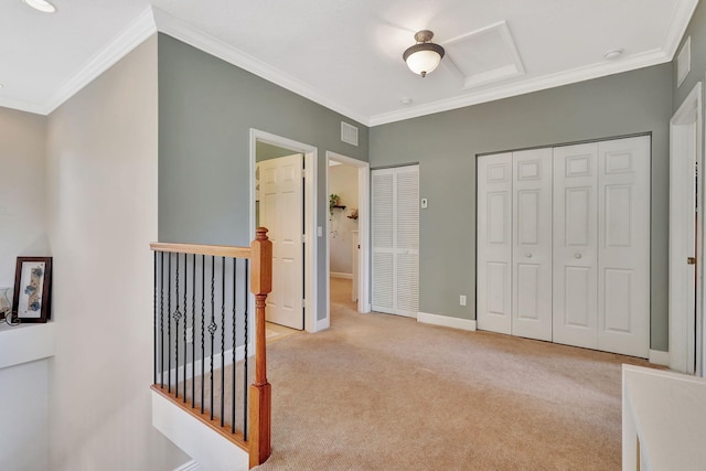 interior space featuring baseboards, crown molding, visible vents, and light colored carpet