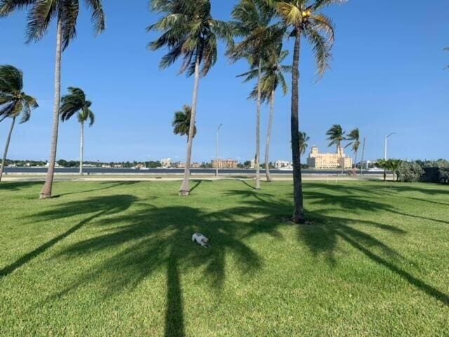 view of home's community with a lawn