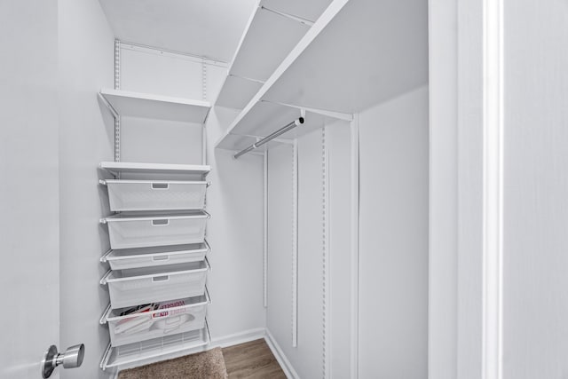 spacious closet featuring hardwood / wood-style flooring