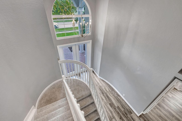 staircase featuring wood-type flooring