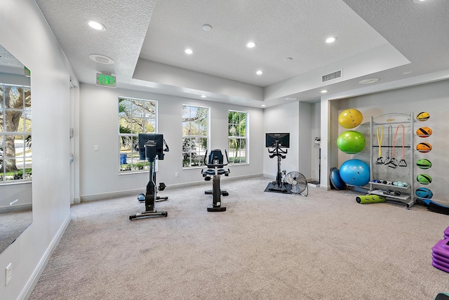 workout room featuring a raised ceiling, a textured ceiling, and light carpet