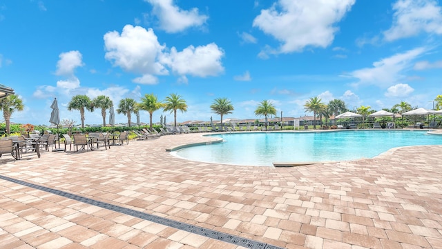 view of pool featuring a patio