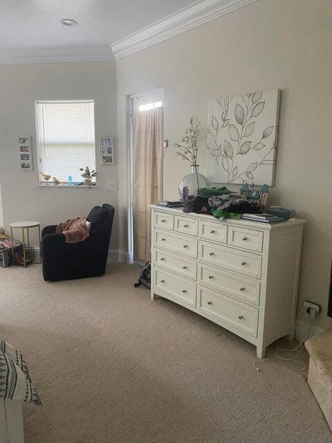 interior space featuring crown molding and light colored carpet