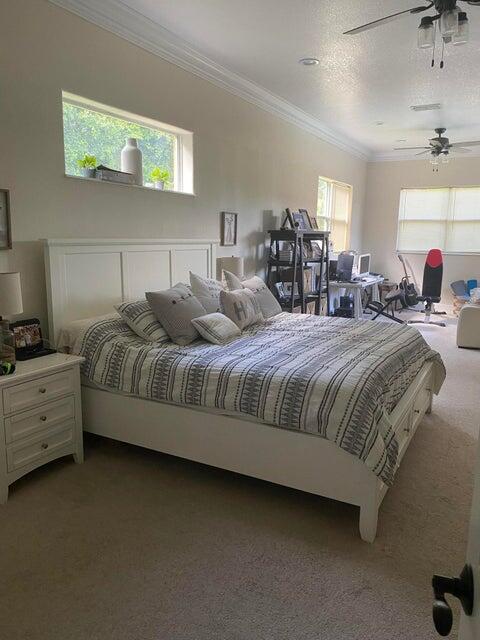 carpeted bedroom featuring crown molding, a textured ceiling, and ceiling fan