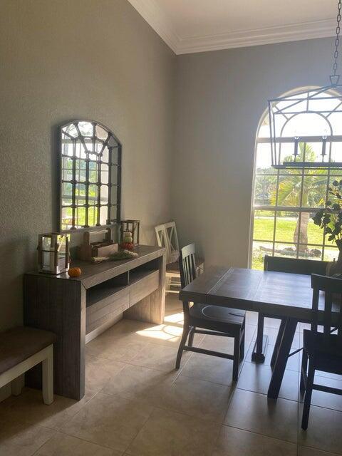 dining room with crown molding and plenty of natural light