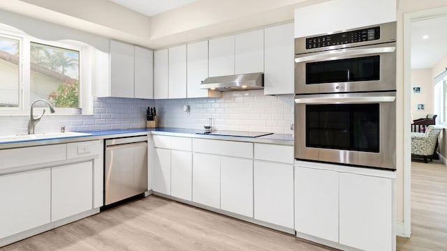 kitchen with white cabinetry, sink, decorative backsplash, light hardwood / wood-style floors, and stainless steel appliances