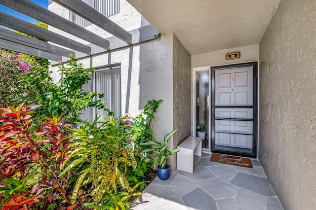 doorway to property featuring a pergola and stucco siding