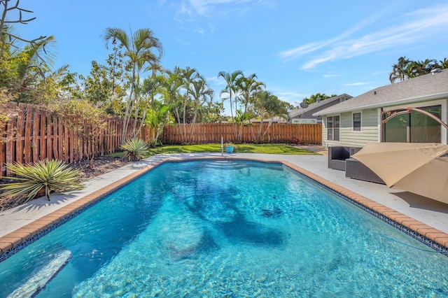 view of swimming pool featuring a patio