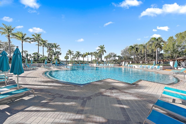 view of pool featuring a patio area