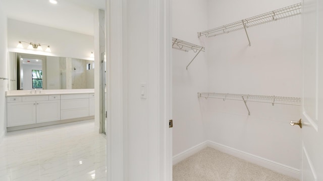 spacious closet featuring sink