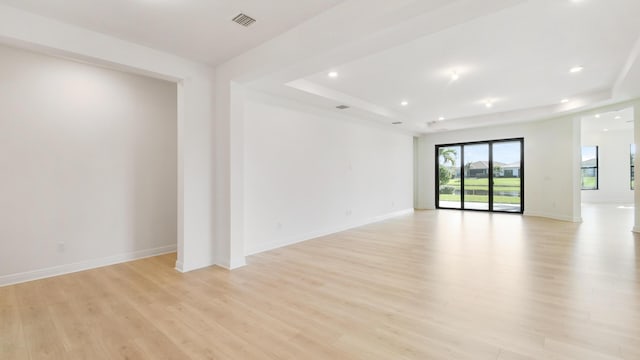 unfurnished room featuring a tray ceiling and light hardwood / wood-style floors