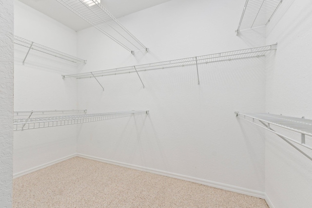 spacious closet with carpet