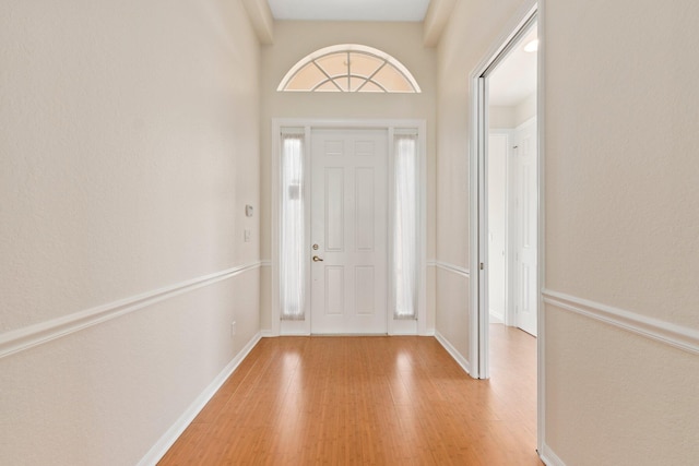 foyer entrance with wood-type flooring and plenty of natural light