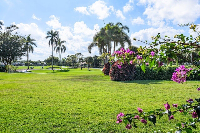 view of home's community featuring a yard