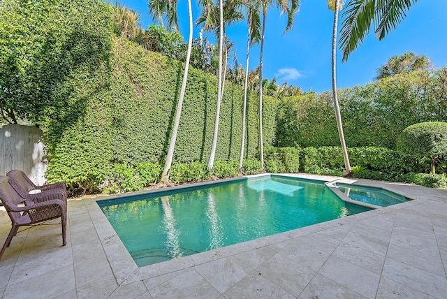 view of pool featuring a patio