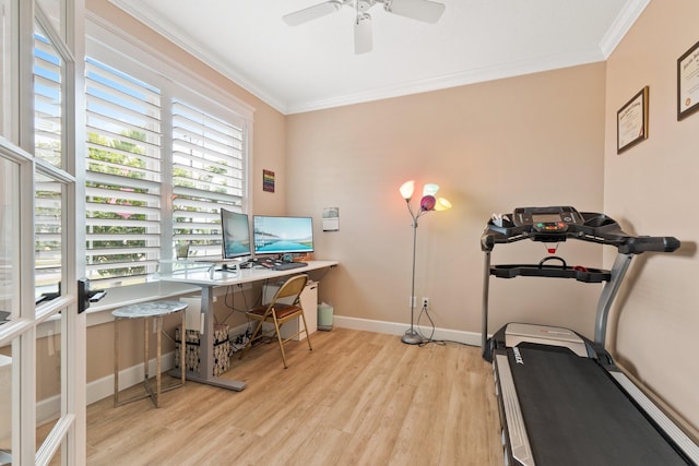 workout room featuring crown molding, ceiling fan, and light wood-type flooring