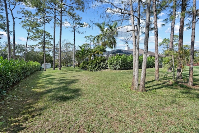 view of yard featuring a storage shed