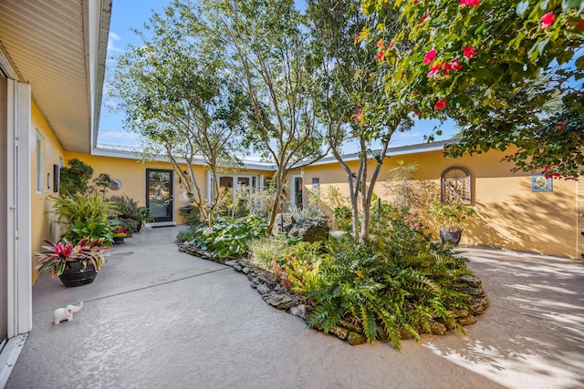 view of front of property featuring a patio