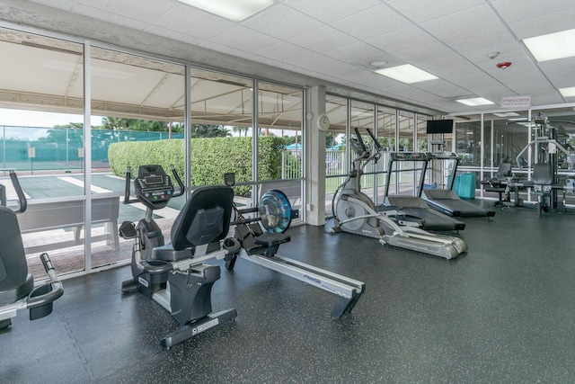 exercise room featuring a paneled ceiling and floor to ceiling windows