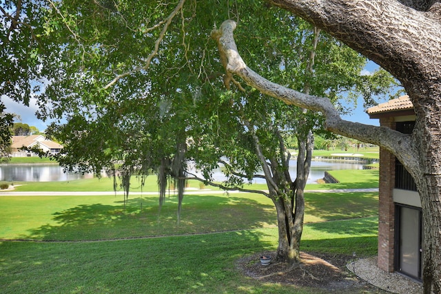 view of community featuring a water view and a lawn