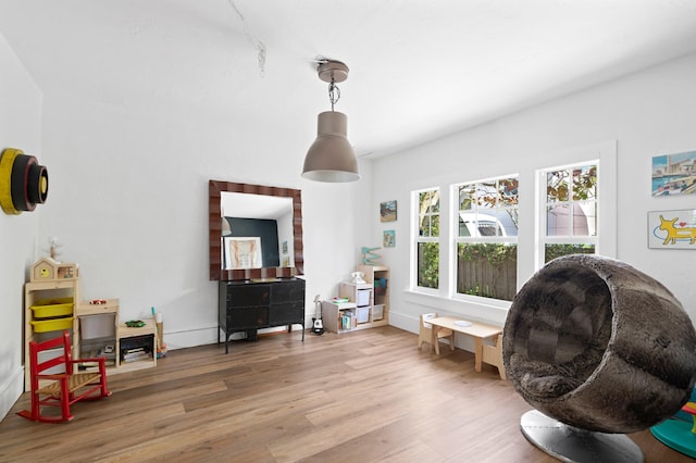 sitting room with hardwood / wood-style flooring