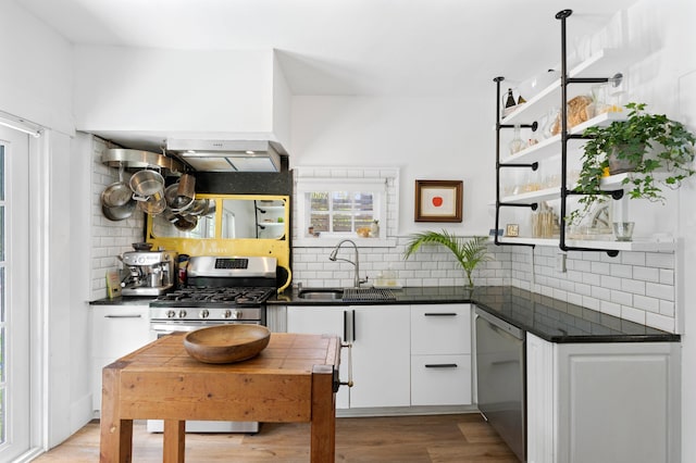 kitchen with sink, light hardwood / wood-style flooring, stainless steel dishwasher, decorative backsplash, and white cabinets