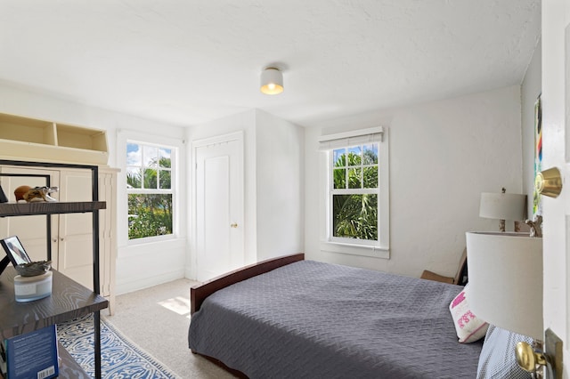 bedroom with multiple windows and carpet flooring