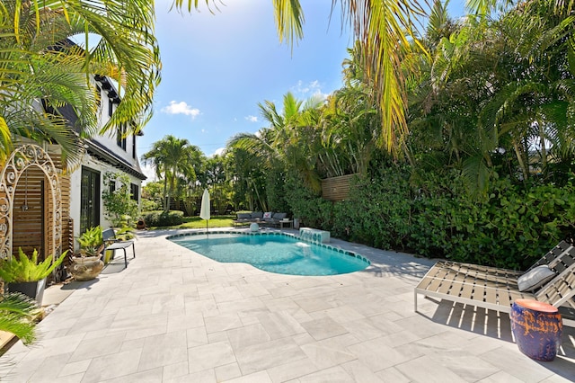 view of swimming pool with a patio and an outdoor hangout area