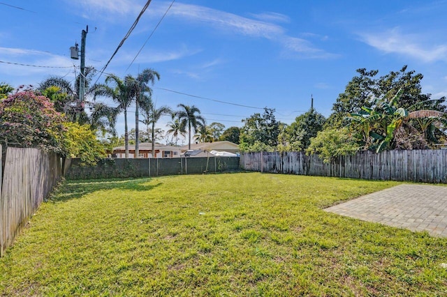 view of yard with a patio