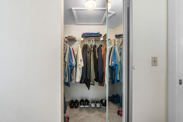 walk in closet featuring carpet floors